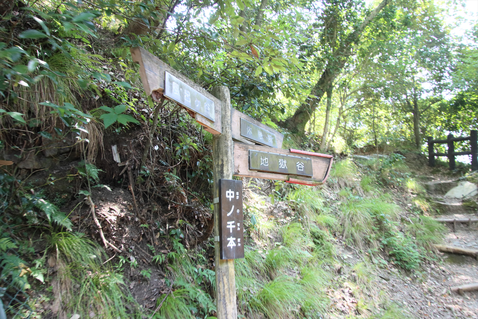 9月29日（日）箕面大滝みに行こうまるこノルディックウォーキングイベント