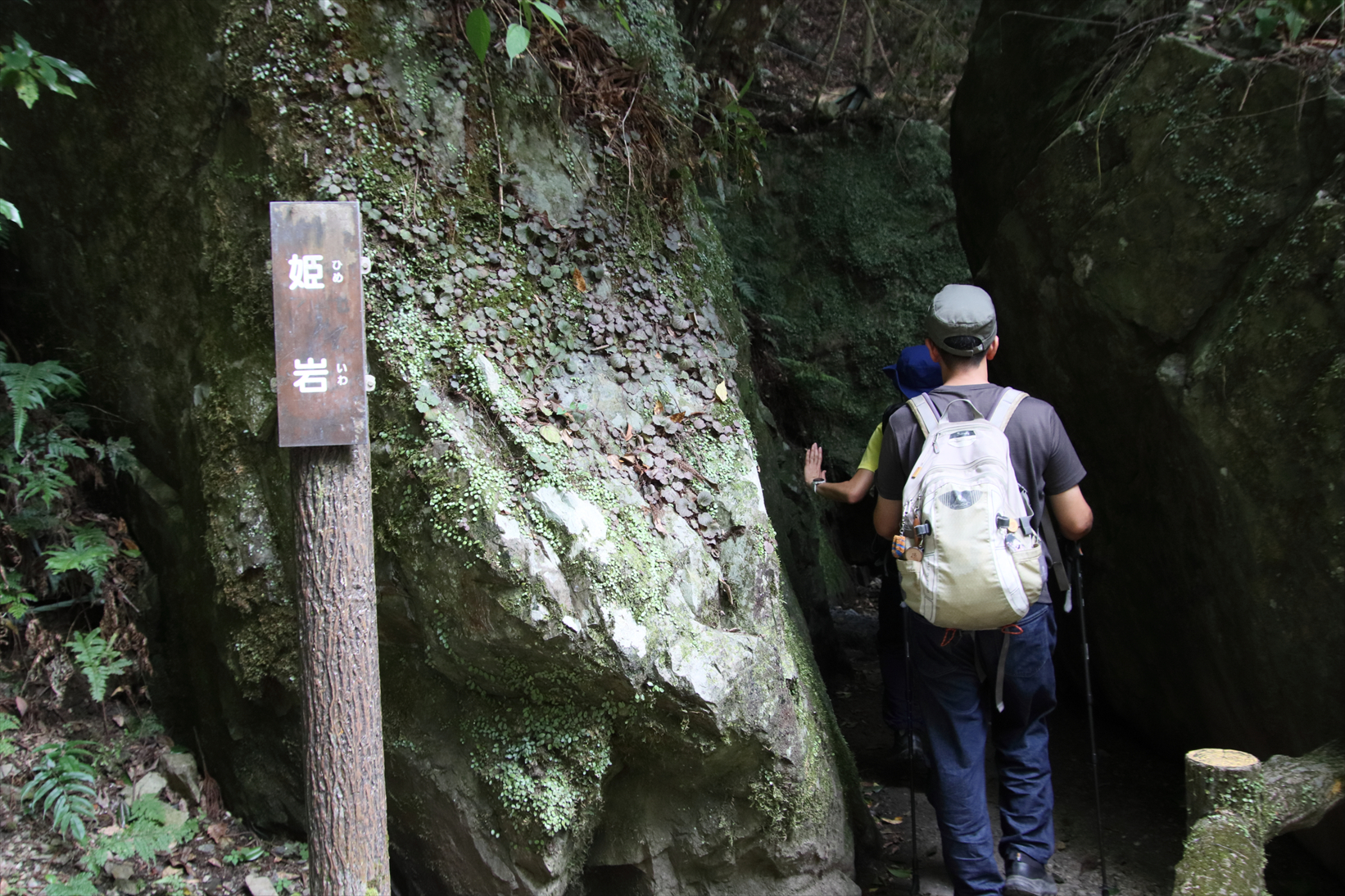 9月29日（日）箕面大滝みに行こうまるこノルディックウォーキングイベント