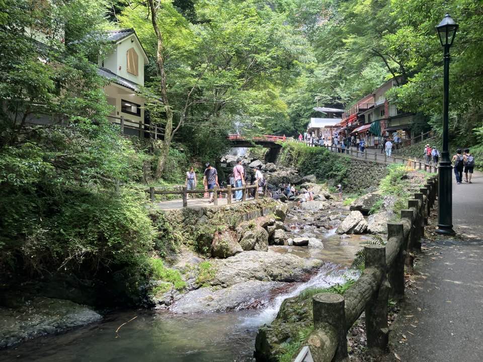 9月29日（日）箕面大滝みに行こうまるこノルディックウォーキングイベント