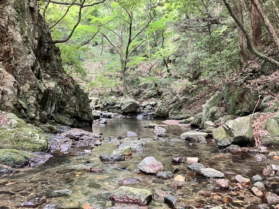 9月29日（日）箕面大滝みに行こうまるこノルディックウォーキングイベント