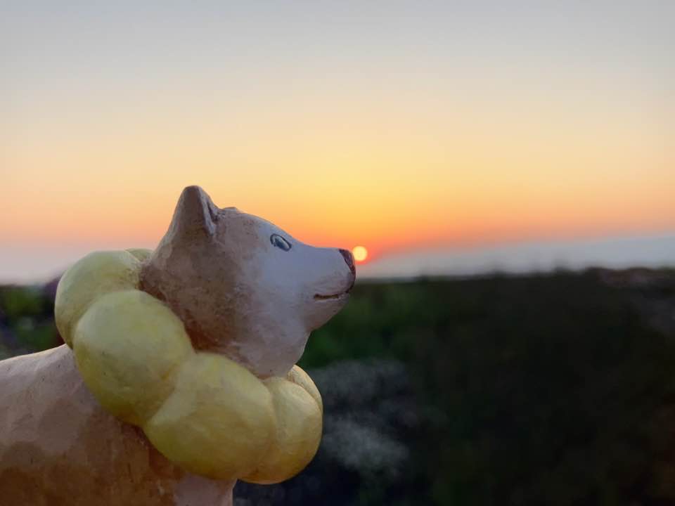 EXPO2025 大阪・関西万博 大屋根リング 2025.4.26 ポンデリングまるこ