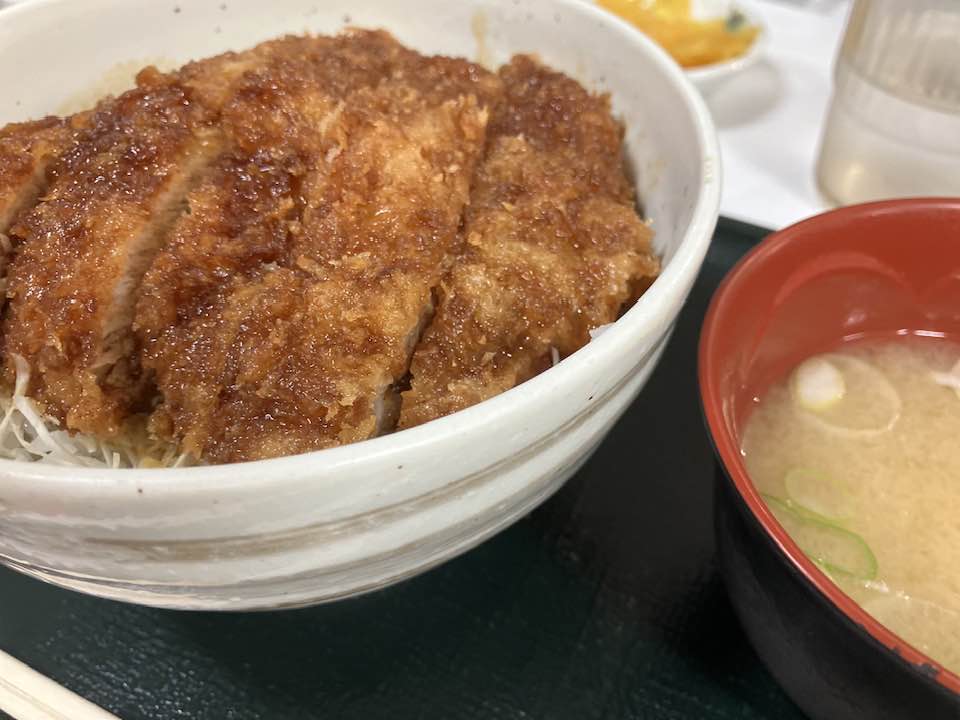 20250812-13 marco Queen of the Southern Alps Senjyogatake　仙丈ケ岳　ソースかつ丼