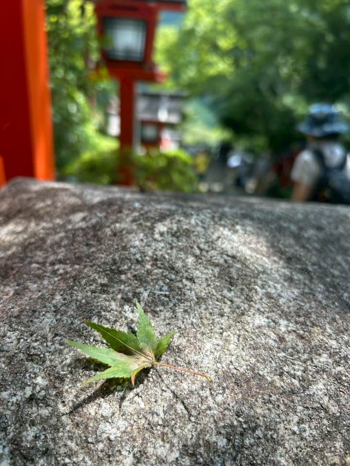 2025.9.23天狗さんに会えるかな？パワースポット鞍馬～貴船へレッツノルディックハイキングイベント