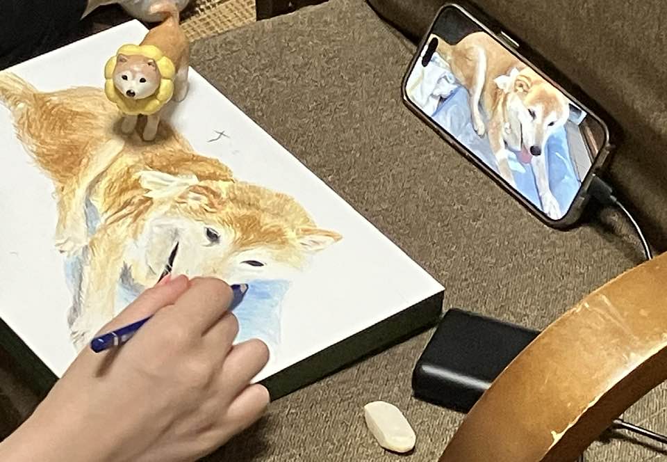 柴犬まるこ 15歳おばぁ犬モデル　絵を描いてもらう