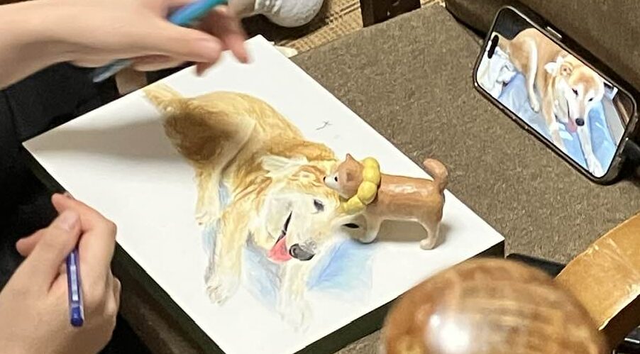 柴犬まるこ 15歳おばぁ犬モデル　絵を描いてもらう