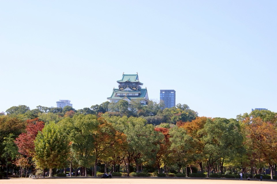 2025大阪城公園の紅葉 11.08