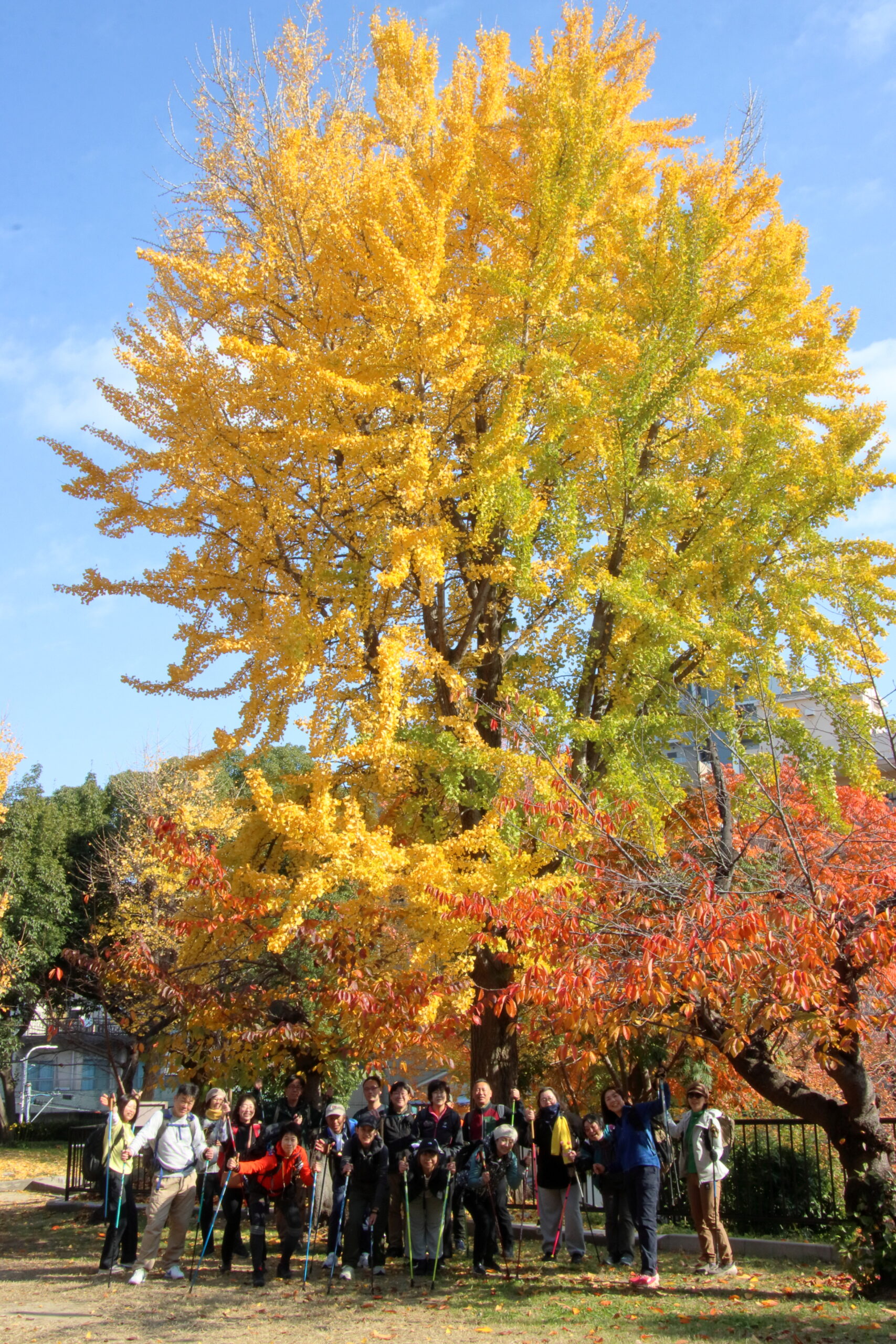 12月7日（日）まるこ☆異文化NWさんぽ～コリアタウンから大阪城へ～スパイシーに笑顔で締める忘年会イベント