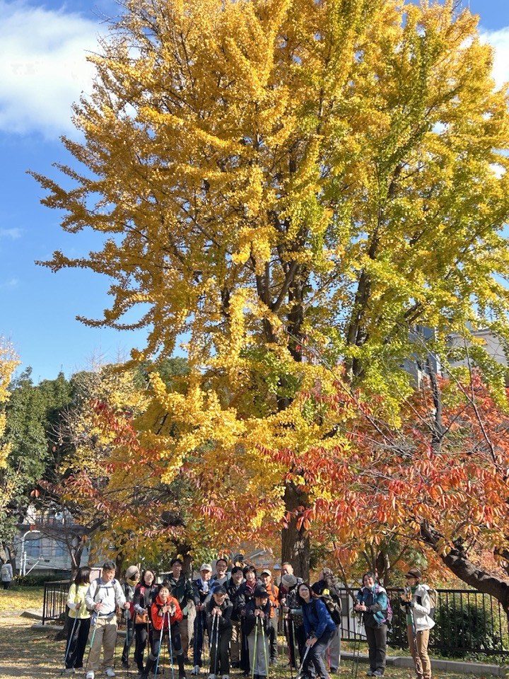 12月7日(日)まるこ☆異文化NWさんぽ~コリアタウンから大阪城へ~スパイシーに笑顔で締める忘年会イベント