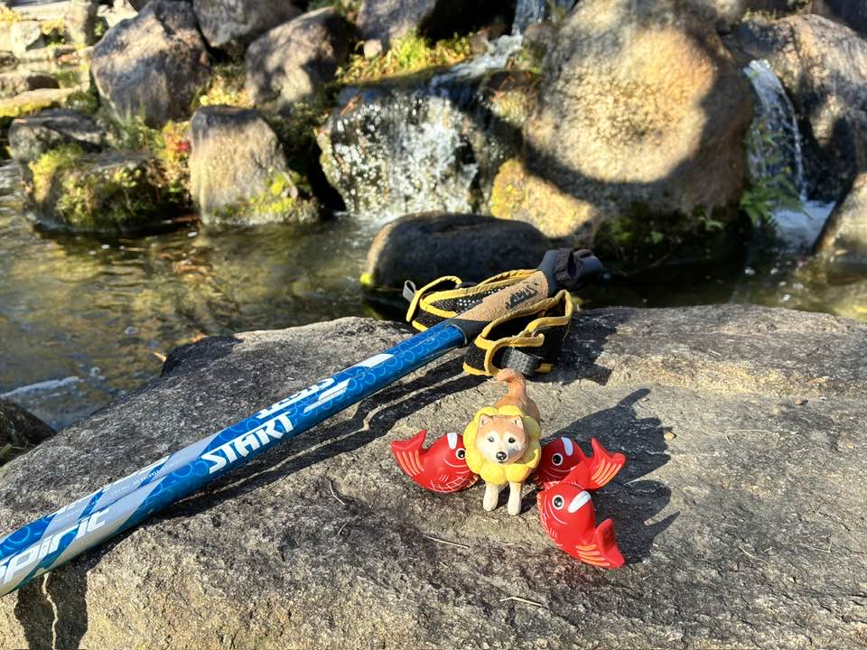 2026.1.11（日）まるこ西宮酒蔵めぐりNWさんぽ～浜福鶴 米治さんに会いにいく～希望者で新年会ありマス〼イベント