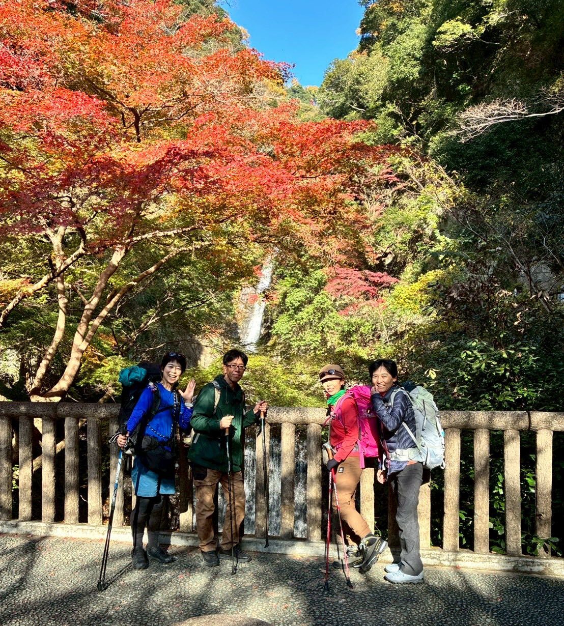 ＼2025紅葉スバラシイ／再度公園へ紅葉ノルディックウォーキングいってきました☆