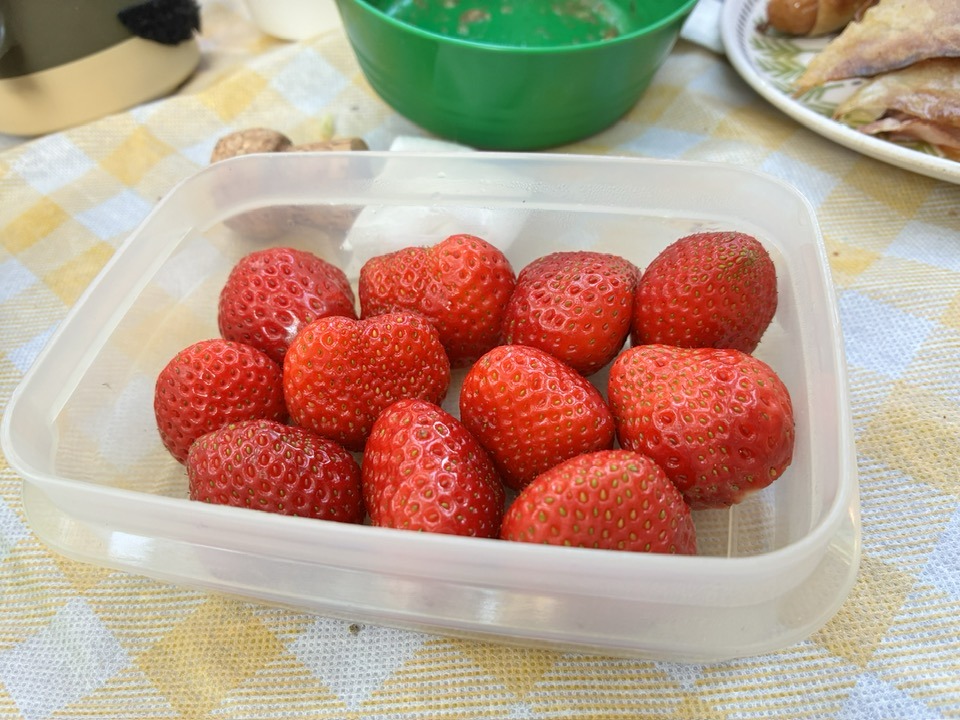 ＼2025紅葉スバラシイ／再度公園へ紅葉ノルディックウォーキングいってきました☆ ヤマメシ編　パンケーキ