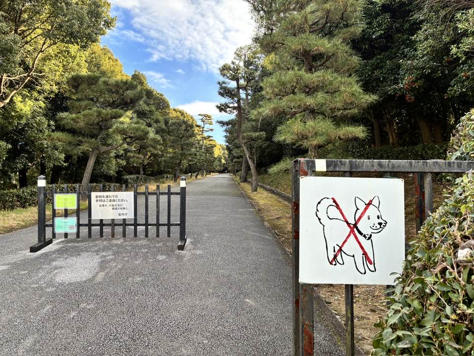 \まるこ愉快なお山の部/2026今年もお正月初詣&お山ノルディックハイキング行ってきました~ 桓武天皇陵