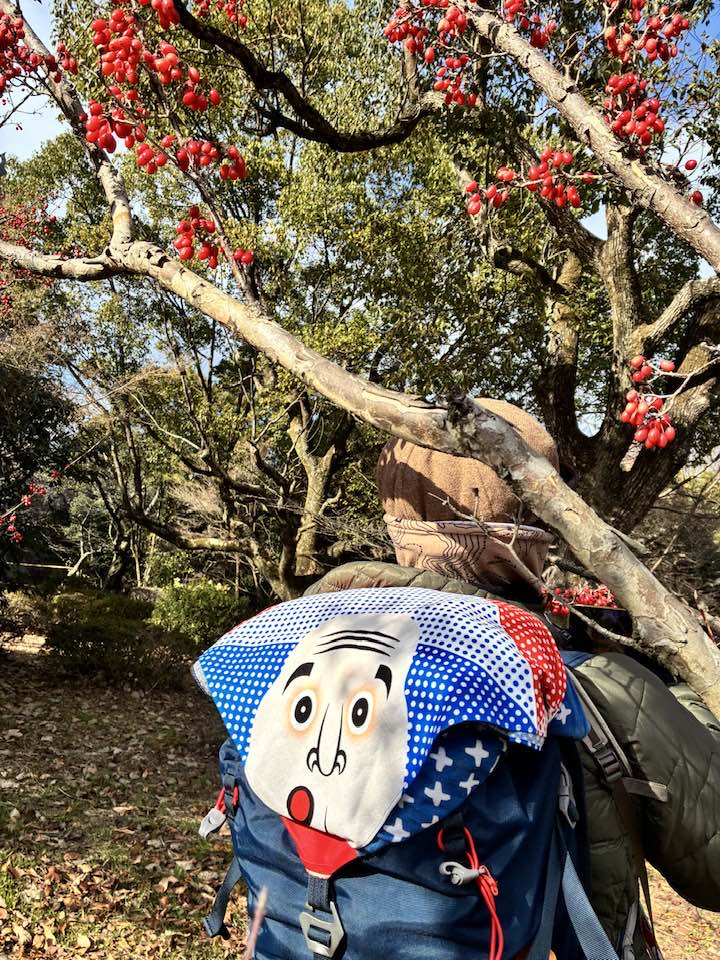 \まるこ愉快なお山の部/2026今年もお正月初詣&お山ノルディックハイキング行ってきました~