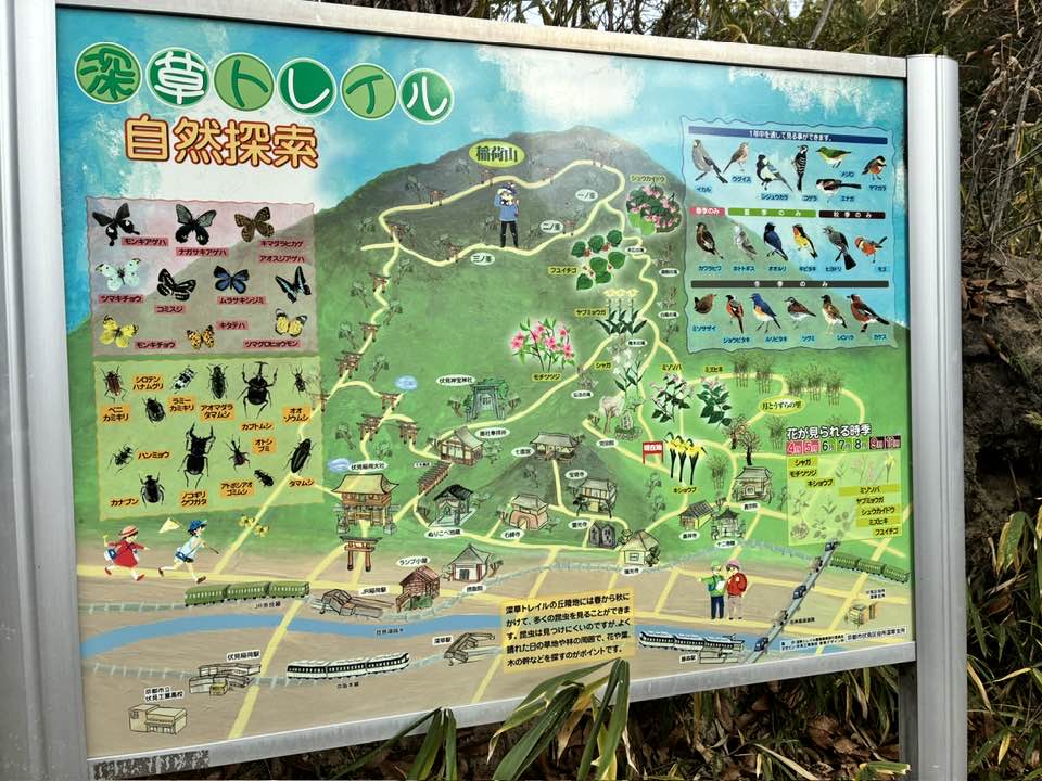 ＼まるこ愉快なお山の部／2026今年もお正月初詣＆お山ノルディックハイキング行ってきました～