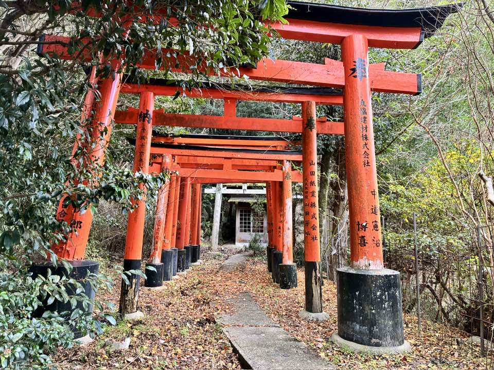 ＼まるこ愉快なお山の部／2026今年もお正月初詣＆お山ノルディックハイキング行ってきました～　伏見稲荷大社