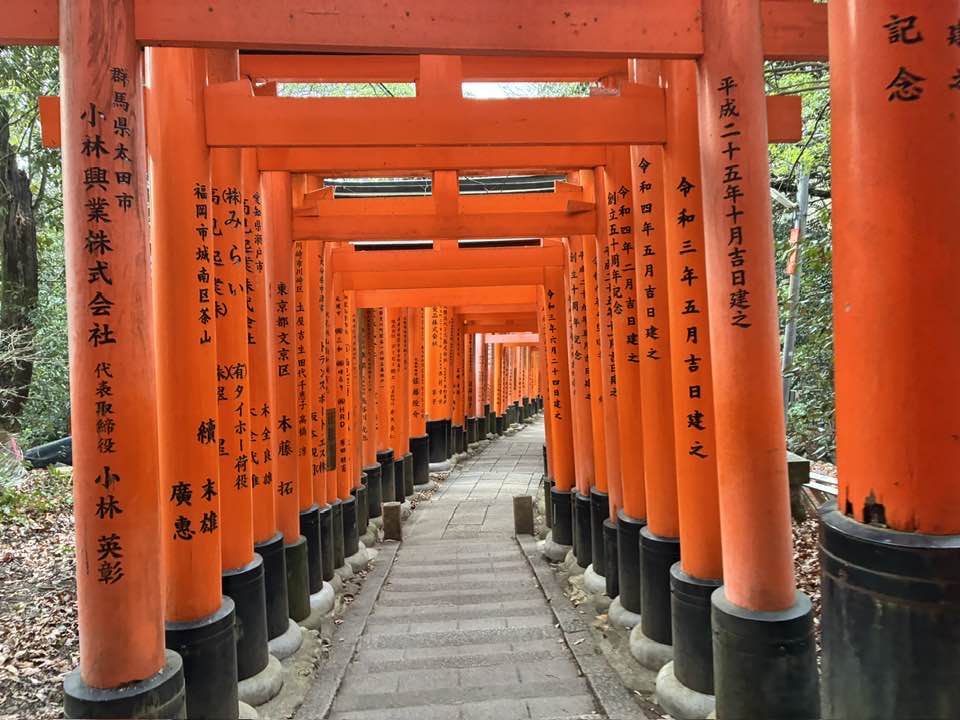 ＼まるこ愉快なお山の部／2026今年もお正月初詣＆お山ノルディックハイキング行ってきました～　伏見稲荷大社