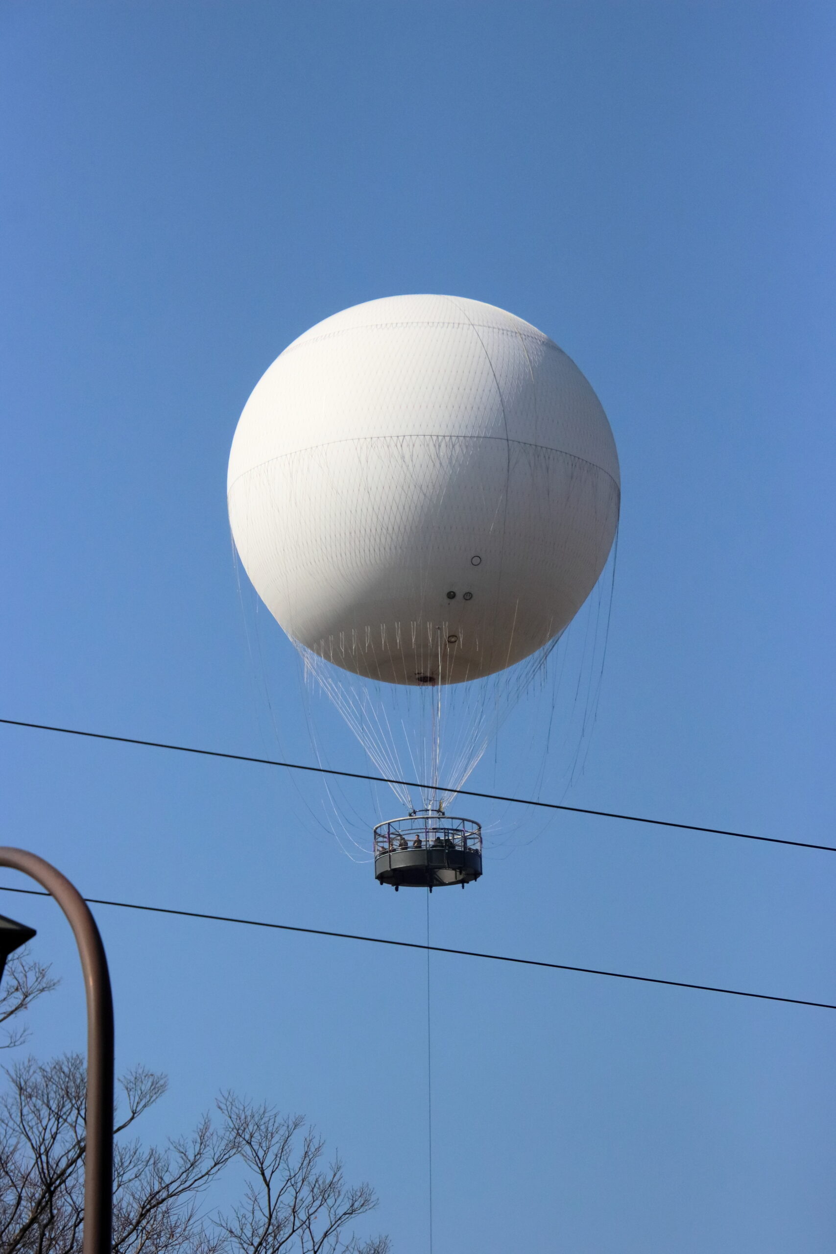 まるこ堺を知る・学ぶ・味わう☆コフンで超コーフンノルディックウォーキングイベント下見