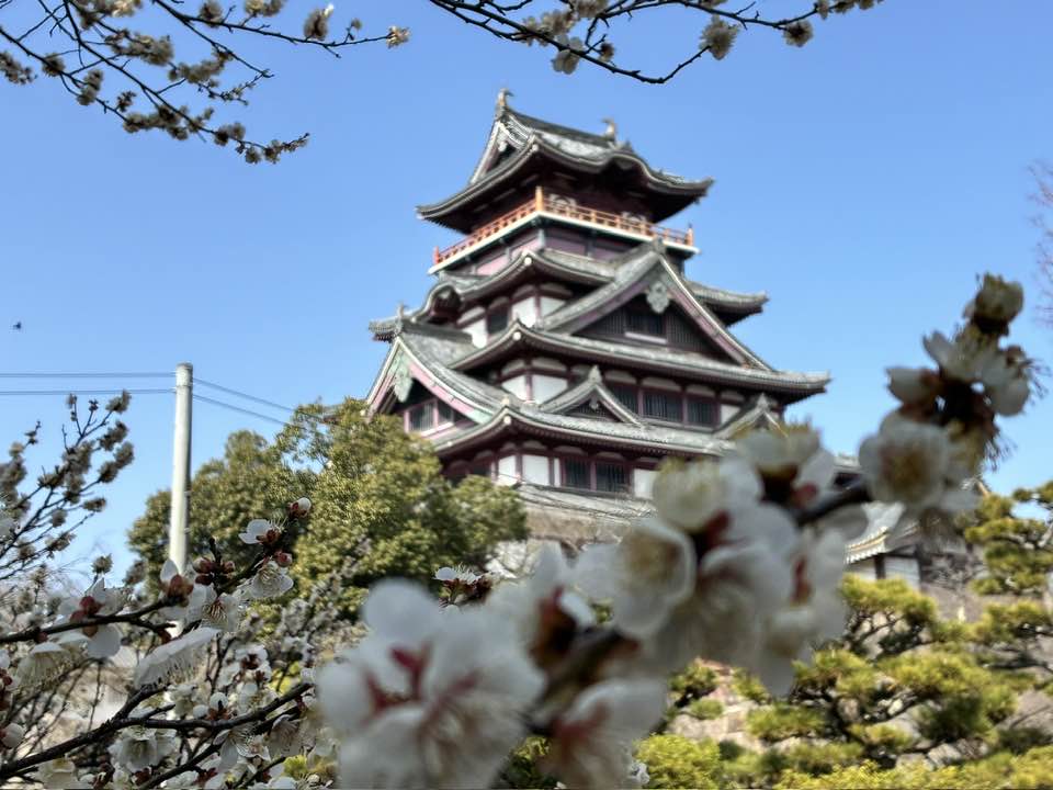 20260315まるこイベント下見_伏見桃山城_キャッスルランド