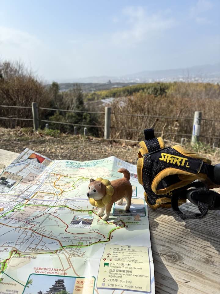 2026年4月5日（日）まるこ伏見桃山キャッスルでお花見ハッスルしちゃうノルディックウォーキングイベント下見 大岩展望所