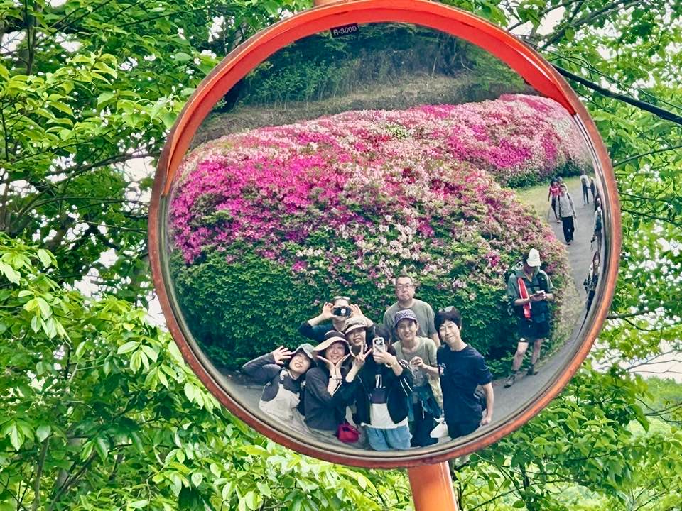 紫陽花もいいけどツツジもよかったよ！