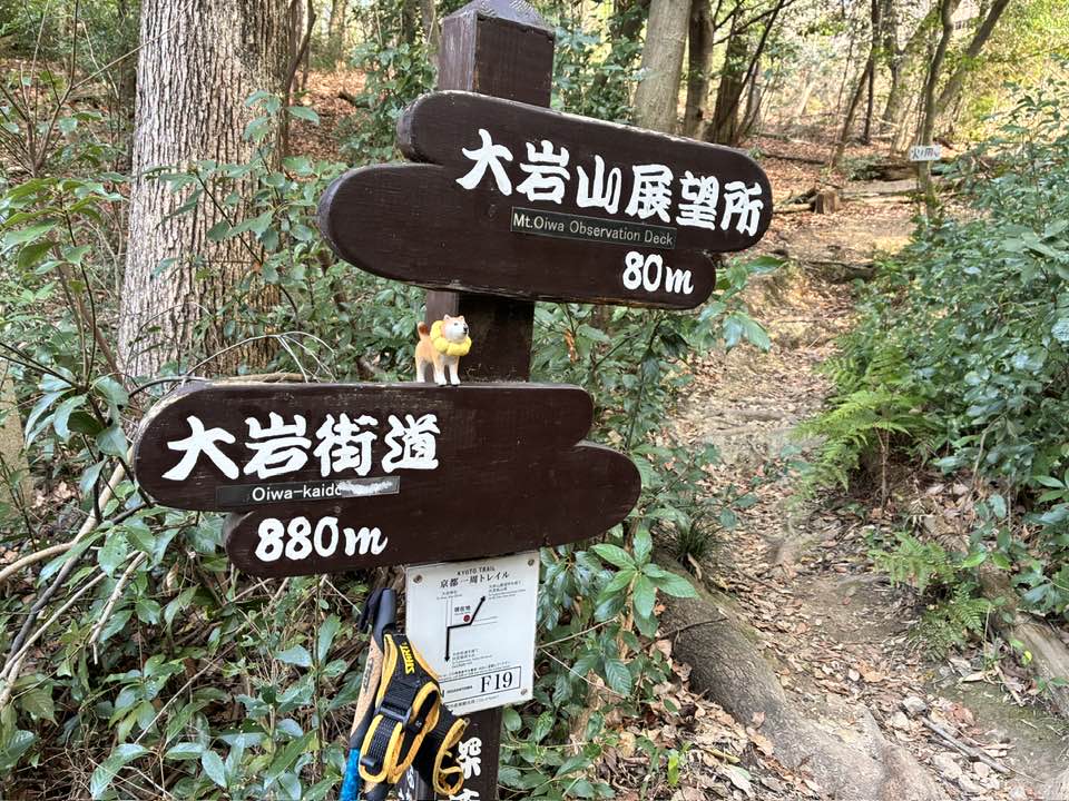 2026年4月5日（日）まるこ伏見桃山キャッスルでお花見ハッスルしちゃうノルディックウォーキングイベント下見