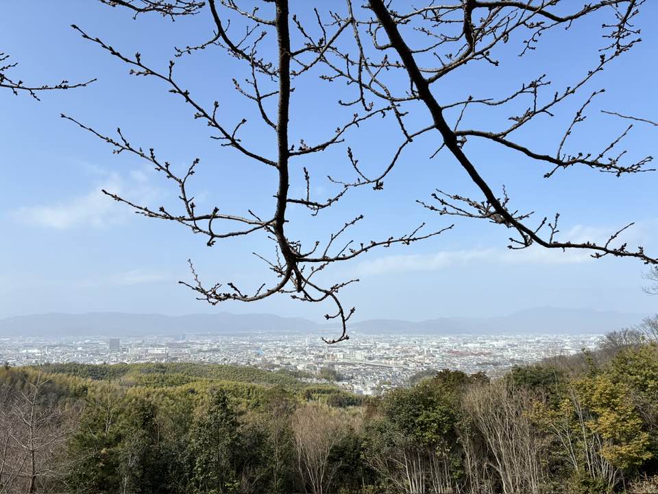 2026年4月5日（日）まるこ伏見桃山キャッスルでお花見ハッスルしちゃうノルディックウォーキングイベント下見 大岩展望所
