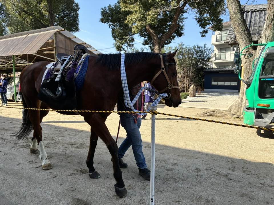 2026年4月5日(日)まるこ伏見桃山キャッスルでお花見ハッスルしちゃうノルディックウォーキングイベント下見 藤森神社