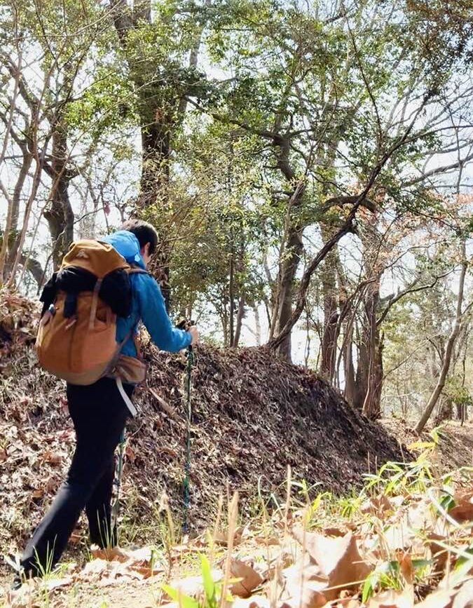 20260320_トレーニングかねて生駒コースを散策ノルディックウォーキング