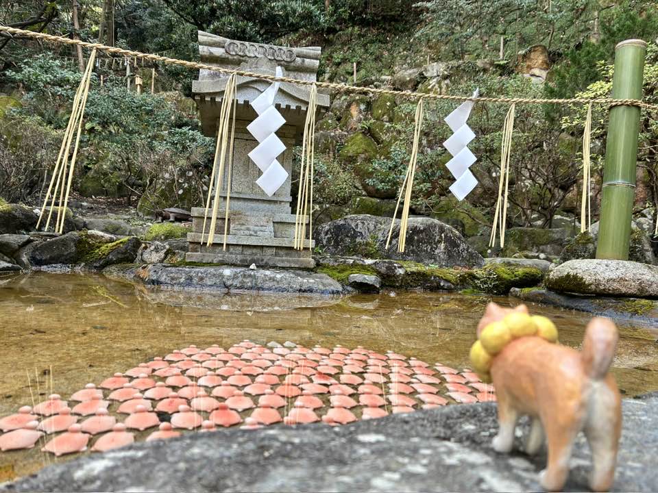 石切神社上の宮⛩️🐢と🐕