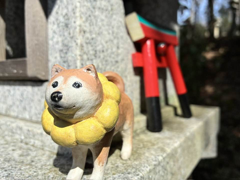 \ご案内/2026年4月5日(日)まるこ伏見桃山キャッスルでお花見ハッスルしちゃうノルディックウォーキングイベント