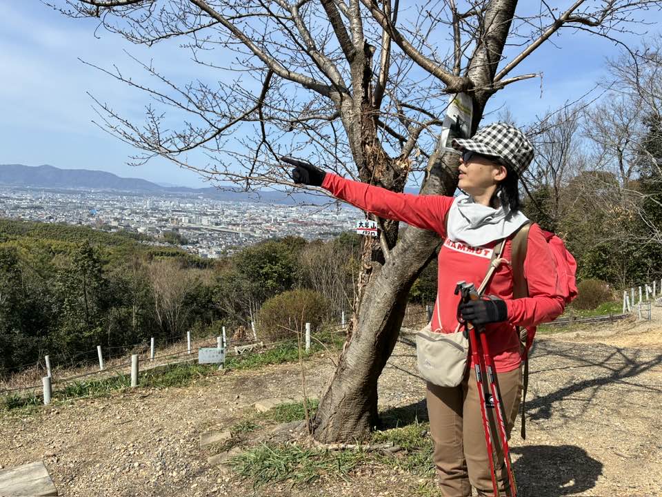 2026年4月5日（日）まるこ伏見桃山キャッスルでお花見ハッスルしちゃうノルディックウォーキングイベント下見 大岩展望所