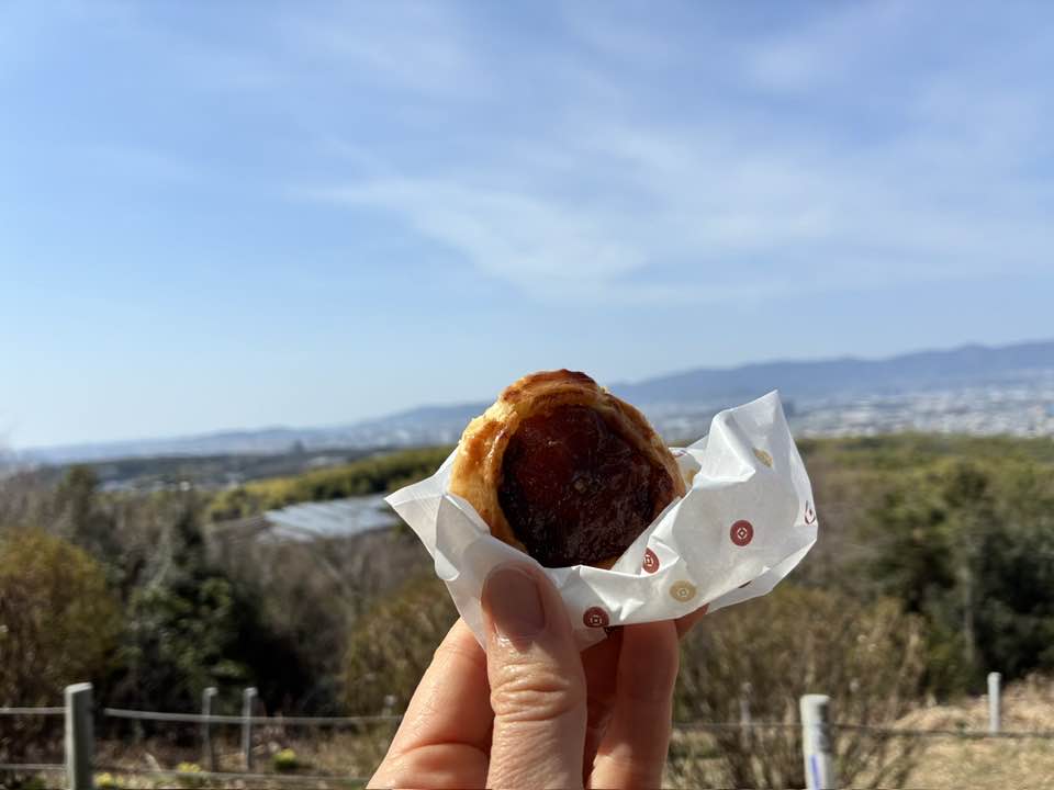 2026年4月5日（日）まるこ伏見桃山キャッスルでお花見ハッスルしちゃうノルディックウォーキングイベント