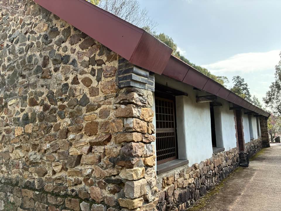 ＼ご案内／2026年4月5日（日）まるこ伏見桃山キャッスルでお花見ハッスルしちゃうノルディックウォーキングイベント　乃木神社