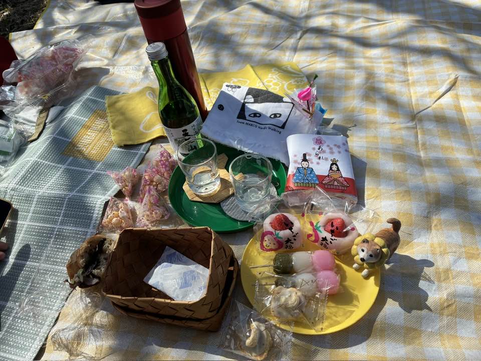 2026年4月5日（日）まるこ伏見桃山キャッスルでお花見ハッスルしちゃうノルディックウォーキングイベント下見 お花見