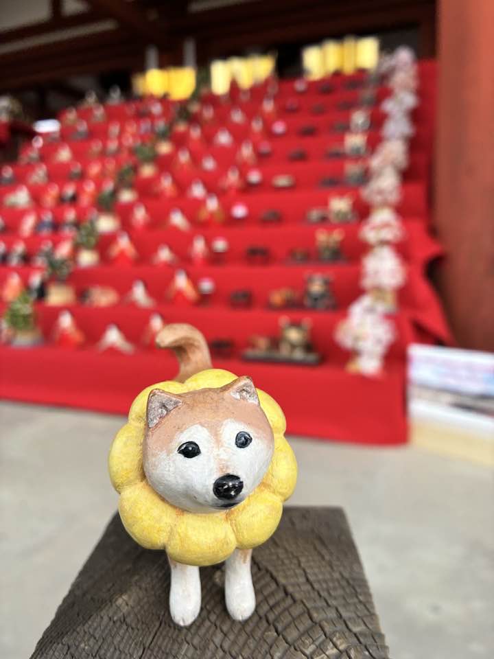 いよいよこの時が来た！2026年5月のまるこはナント（710）まぁ平城京☆奈良時代にタイムスリップしない？ 平城京 ひいな節