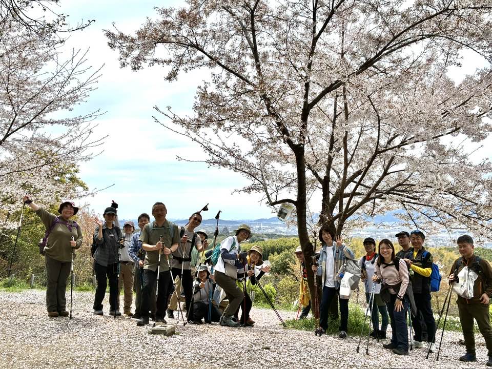 \終了!ハッスルしちゃった/4月5日(日)まるこ伏見桃山キャッスルでお花見ノルディックウォーキングイベント
