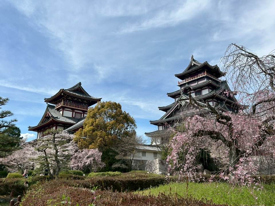 \終了!ハッスルしちゃった/4月5日(日)まるこ伏見桃山キャッスルでお花見ノルディックウォーキングイベント