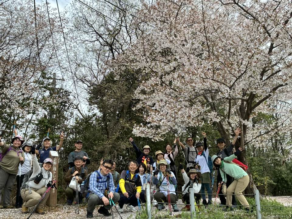 \終了!ハッスルしちゃった/4月5日(日)まるこ伏見桃山キャッスルでお花見ノルディックウォーキングイベント