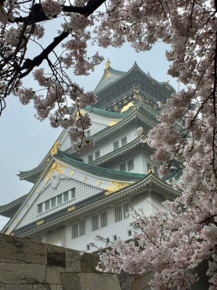 2017 大阪城 桜