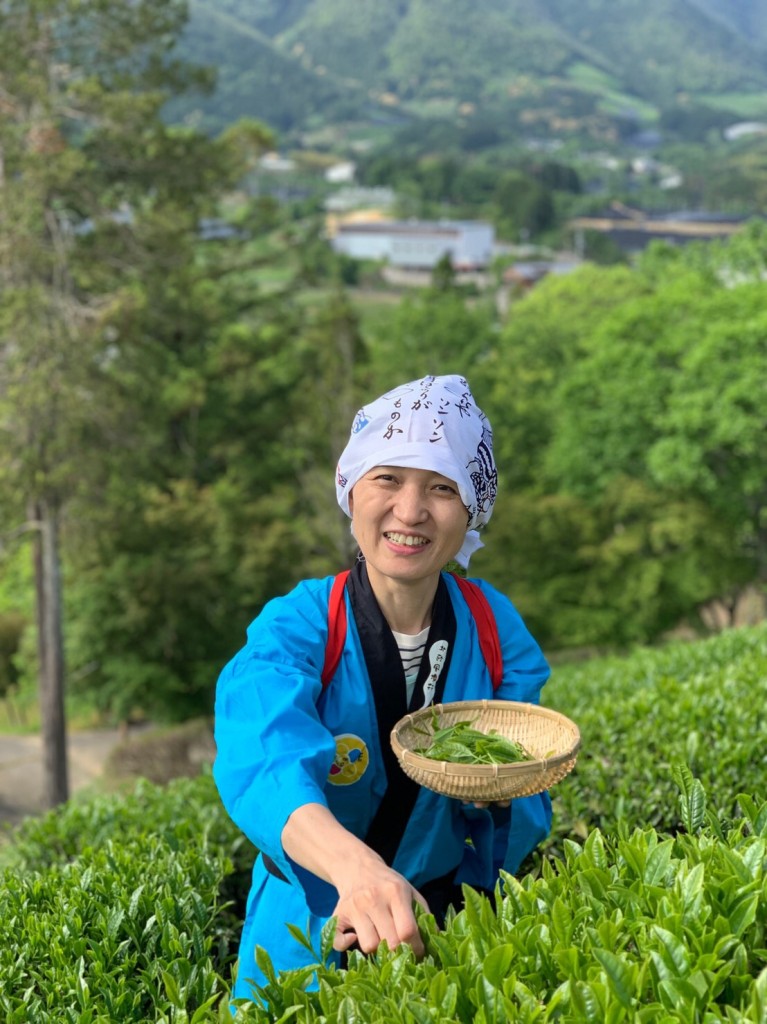 5月19日まるこ五感で楽しむ和束町の茶畑散策NW+お茶摘み体験イベント