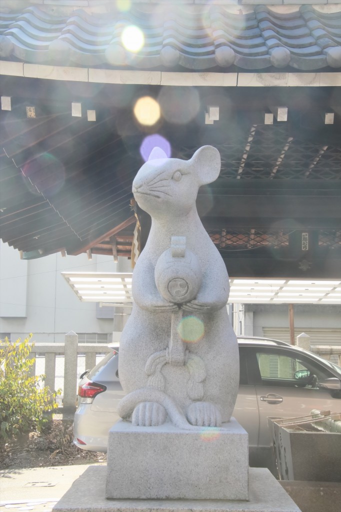 12.15（日）まるこ映えるミナミをＮＷ+お稽古+希望者で忘年会イベント