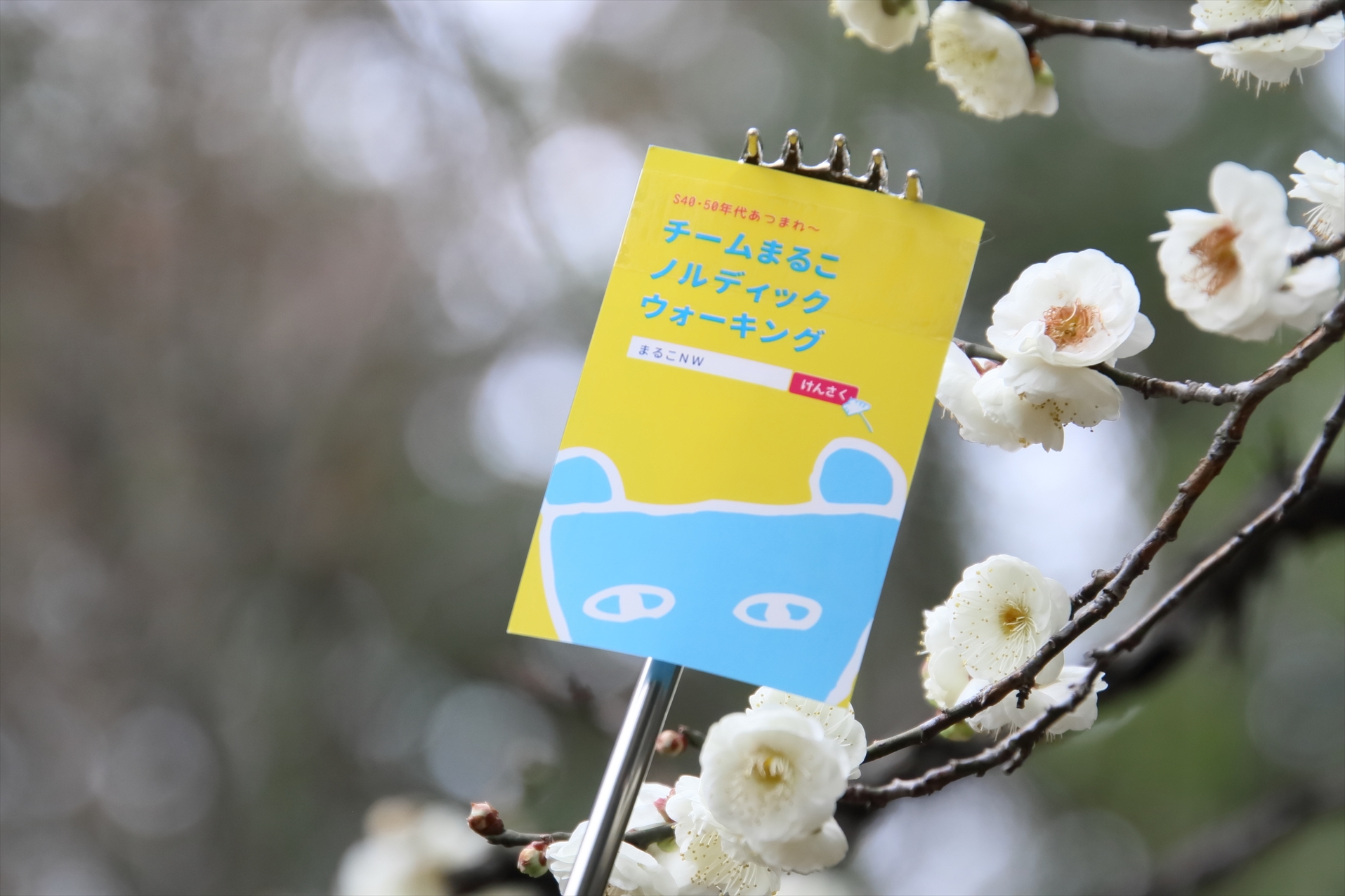 20200126新春まるこ京都伏見の酒蔵巡りウォーキングイベント