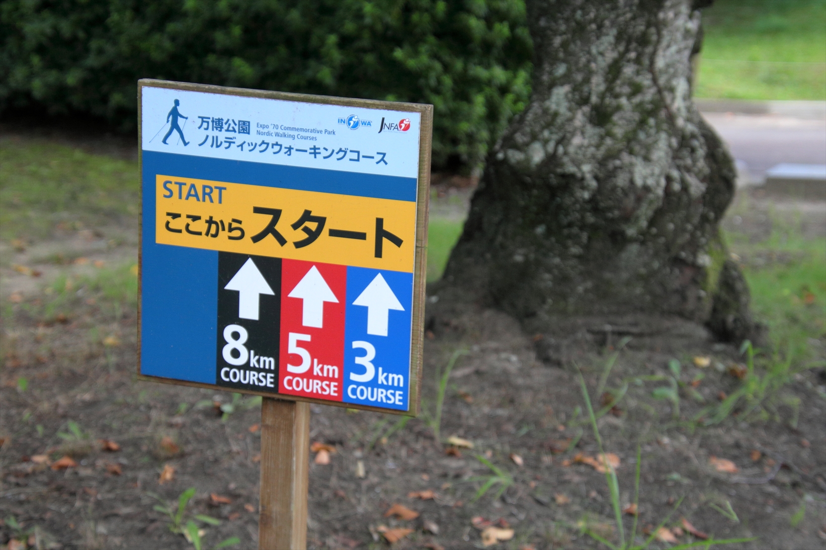 2020コロナな夏！8月10日まるこ万博公園でNW+まりさんの青空木陰でヨガ コラボイベント