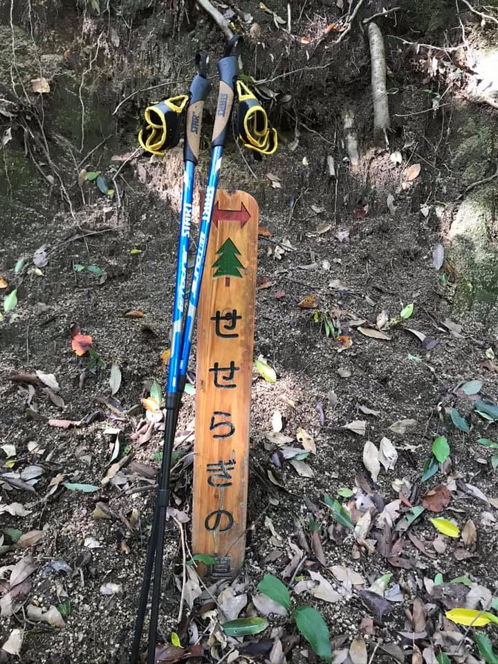 春がきた☆チームまるこ交野の桜を満喫NWコースご紹介
