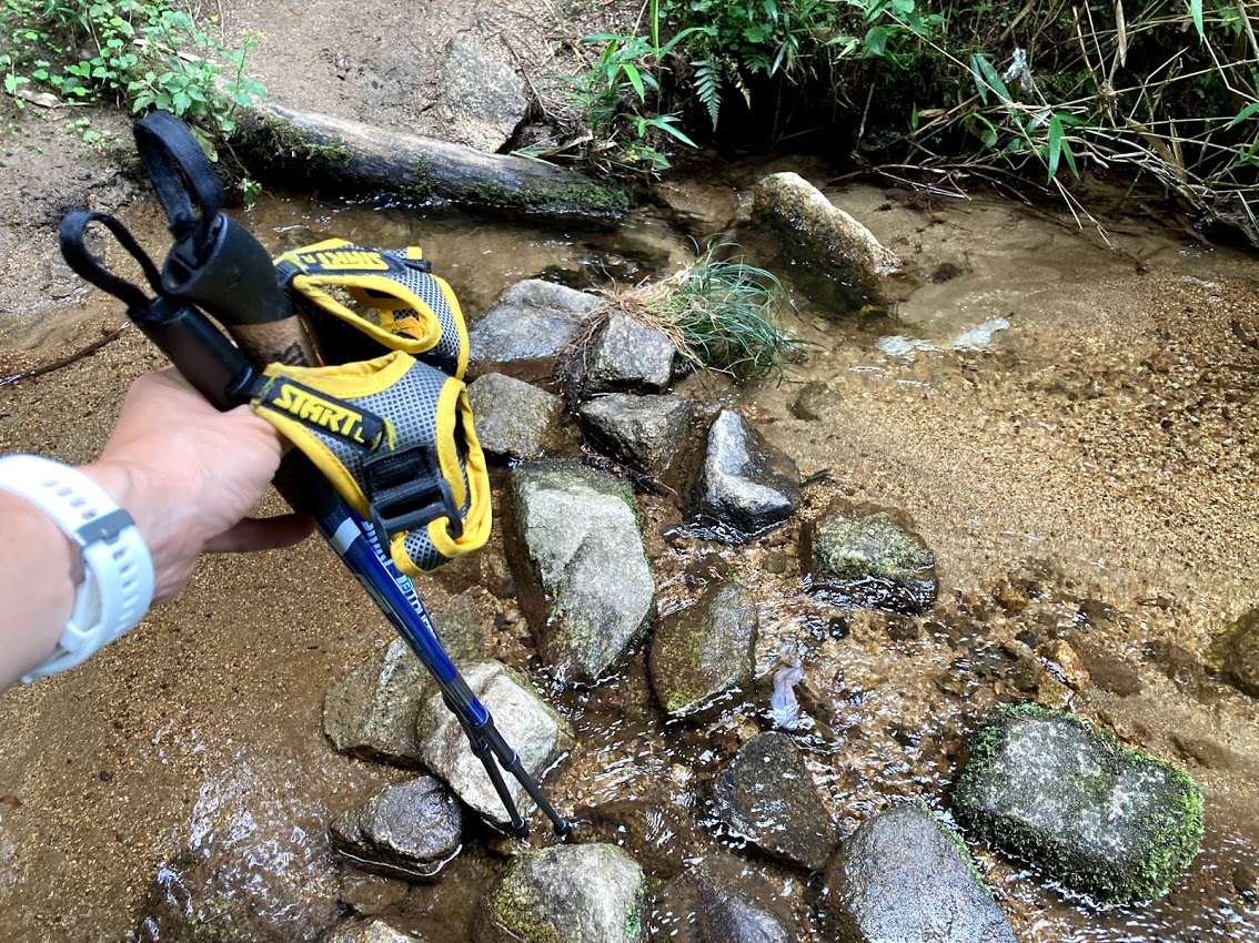 7月11日（日）もし晴れたら行こう！交野山と国見山チームまるこノルディックハイキングイベント