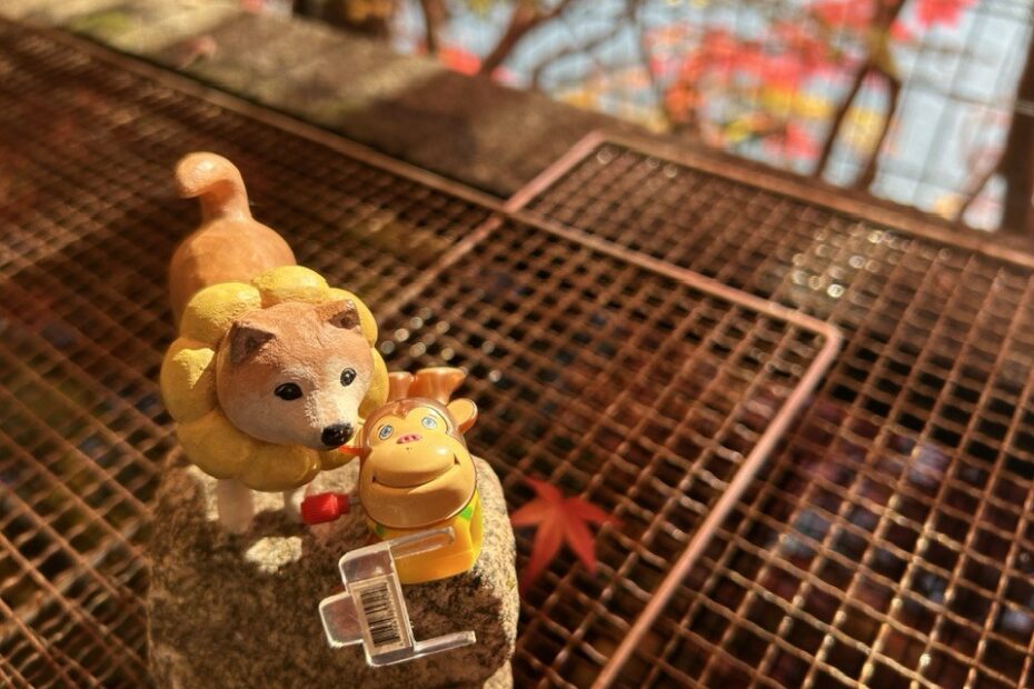 ＼2025紅葉スバラシイ／再度公園へ紅葉ノルディックウォーキングいってきました☆