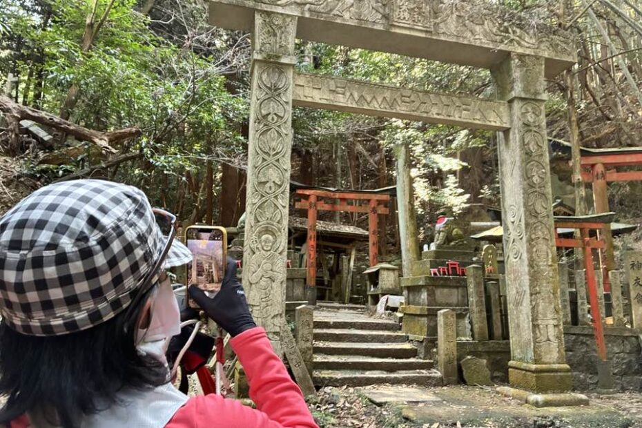 ＼ご案内／2026年4月5日（日）まるこ伏見桃山キャッスルでお花見ハッスルしちゃうノルディックウォーキングイベント 堂本印象